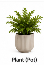 Indoor plant pair